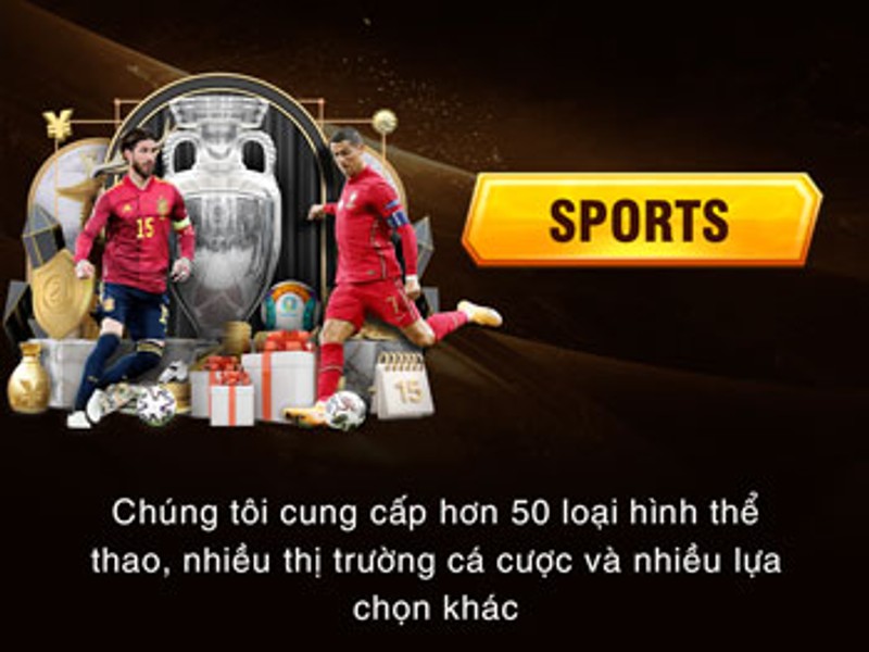 Cá cược thể thao alo88