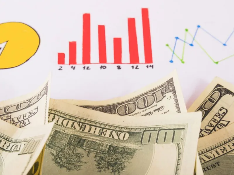 Các giống gà chiến khác nhau